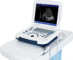 Laptop B&W Ultrasound Scanner
