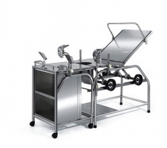Stainless Steel Delivery Table