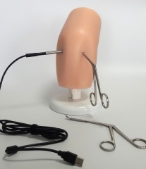Simulator for arthroscope, knee model