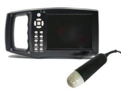 Handheld B-ultrasound detector mechanical probe