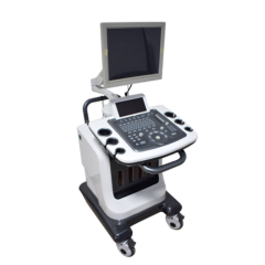 Full-digital Color Doppler Ultrasound Diagnostic System