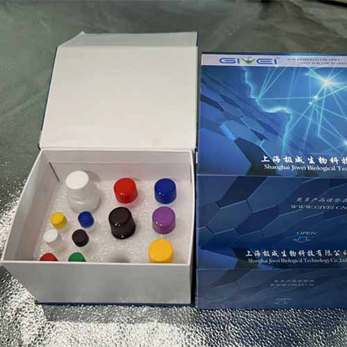 Human Interleukin 10 (IL-10) ELISA Kit, 96T-0
