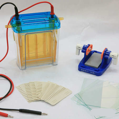 Electrophoresis Cell Tank-0