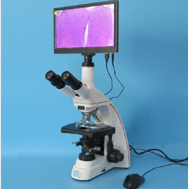 Trinocular infinity 
Biological Microscope 
with 12inch Touch Screen,CE model
(bright field)-0