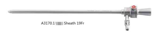 Sheathg-0