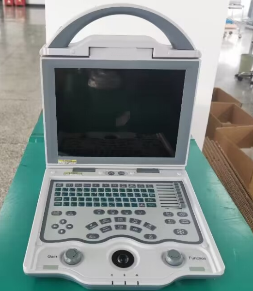 Black and White Ultrasound Scanner (host + convex array probe + built-in lithium battery)-0
