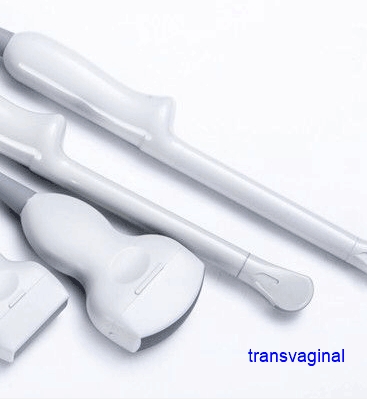 Transvaginal probe-0