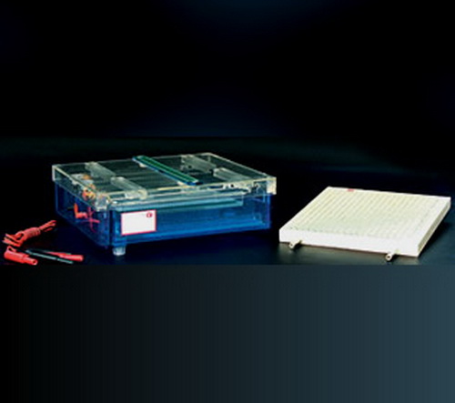 Electrophoresis Cell Tank-0