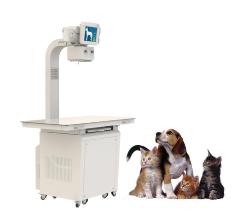 Digital Portable X-ray System For Veterinary-0