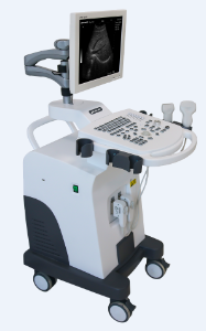 BW Ultrasonic Imaging System-0