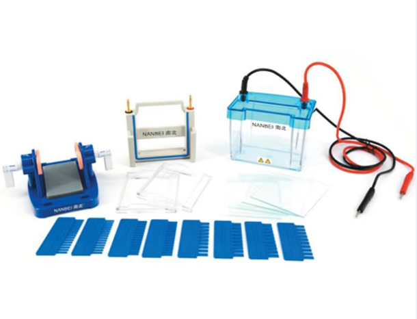 Electrophoresis System