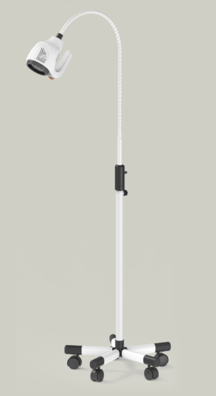 Mobile LED Examination Light, Small Surgical Lamp, 21W