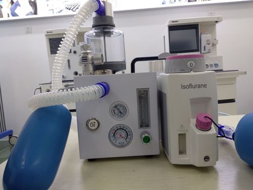 Animal Portable Anesthesia Machine-0