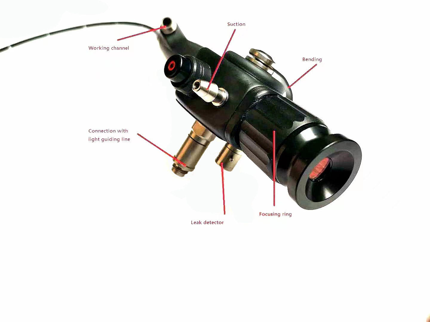 Adult Naso-fibroscope-1