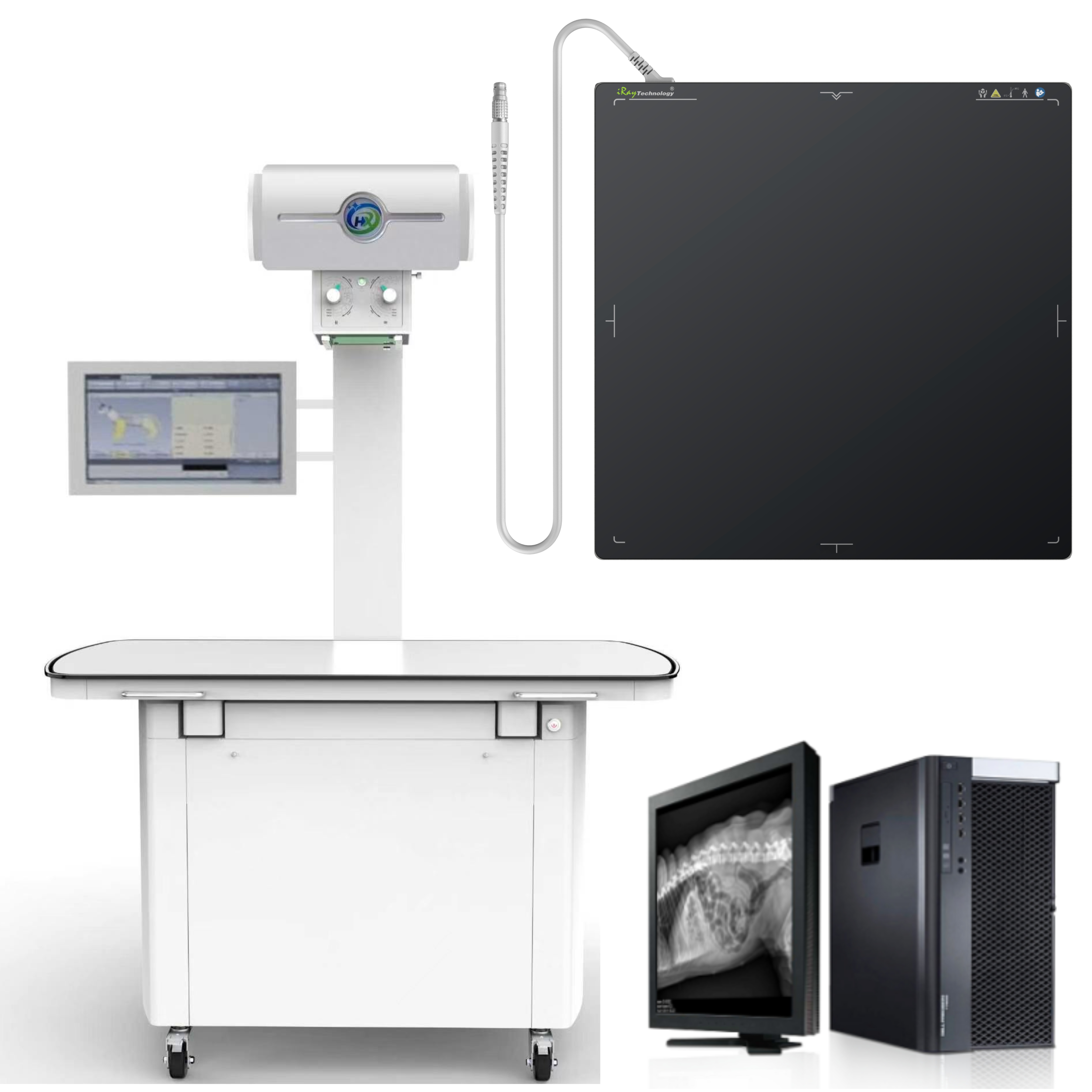 400mA Veterinary DR System-0
