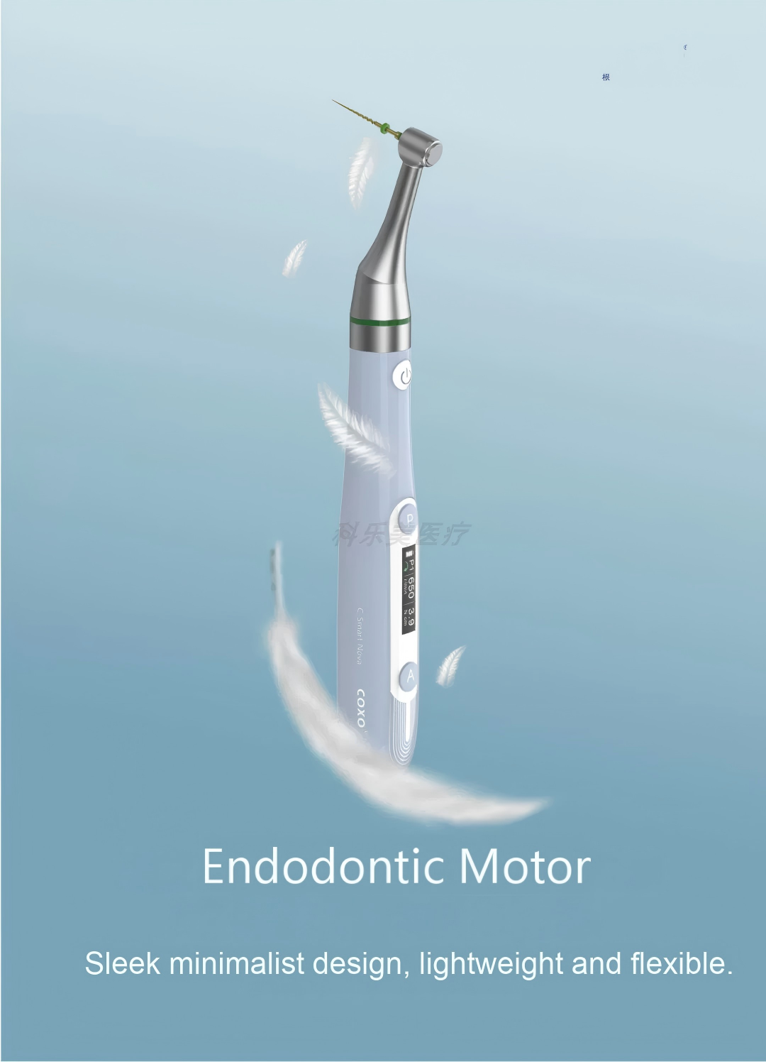 Ultra-Mini Endodontic Motor, Cordless Dental Root Canal Preparation Handpiece