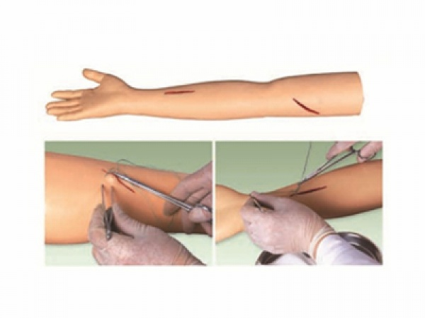 Surgical Suture Arm Model