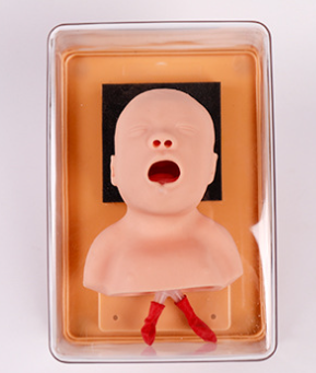 Newborn Tracheal Intubation Training Model-1
