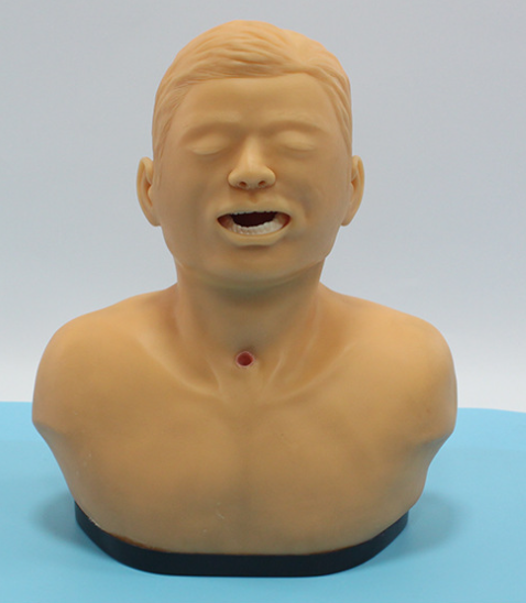 Adult Tracheotomy Care Model-2