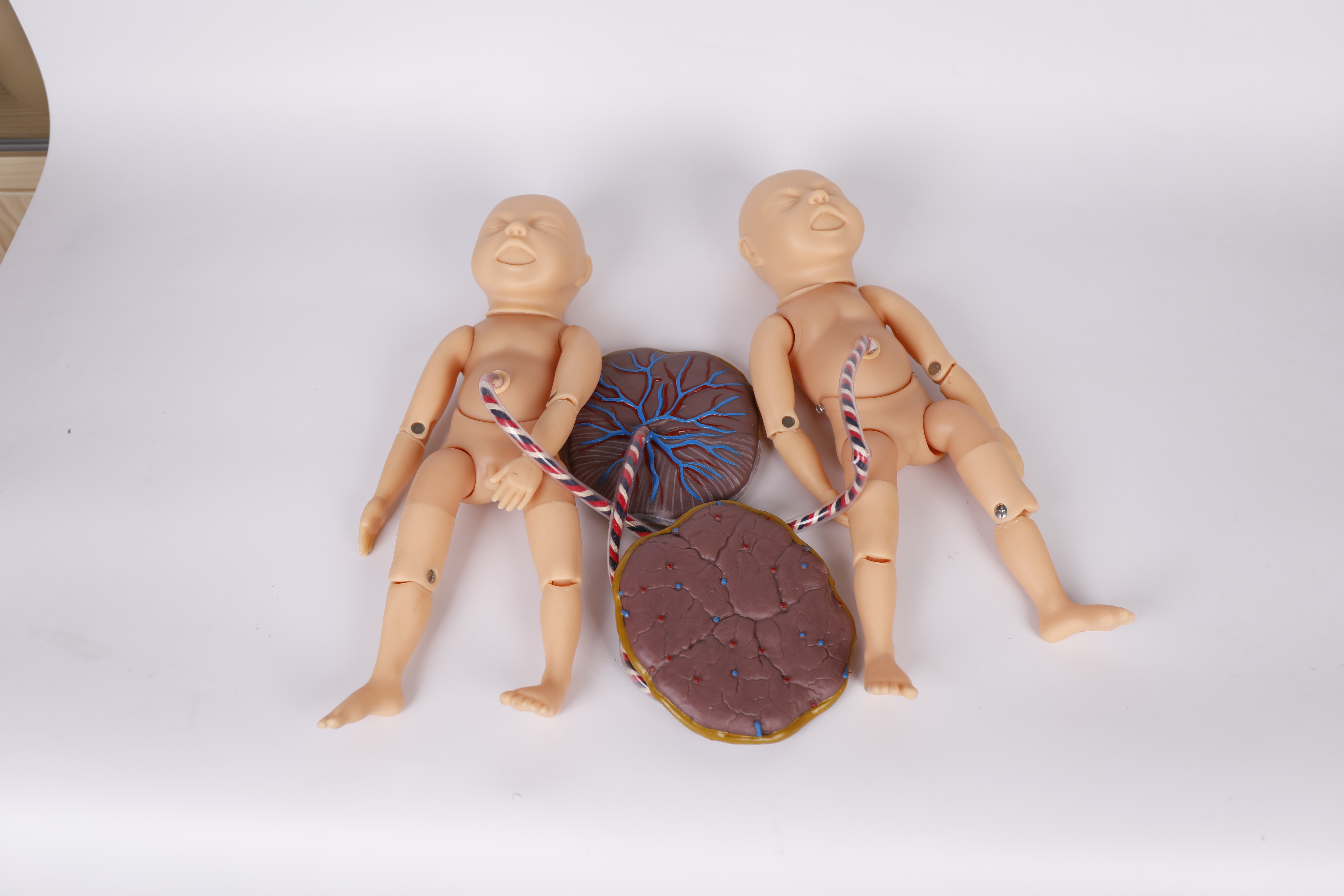 Advanced Comprehensive Childbirth Skill Training Model-2