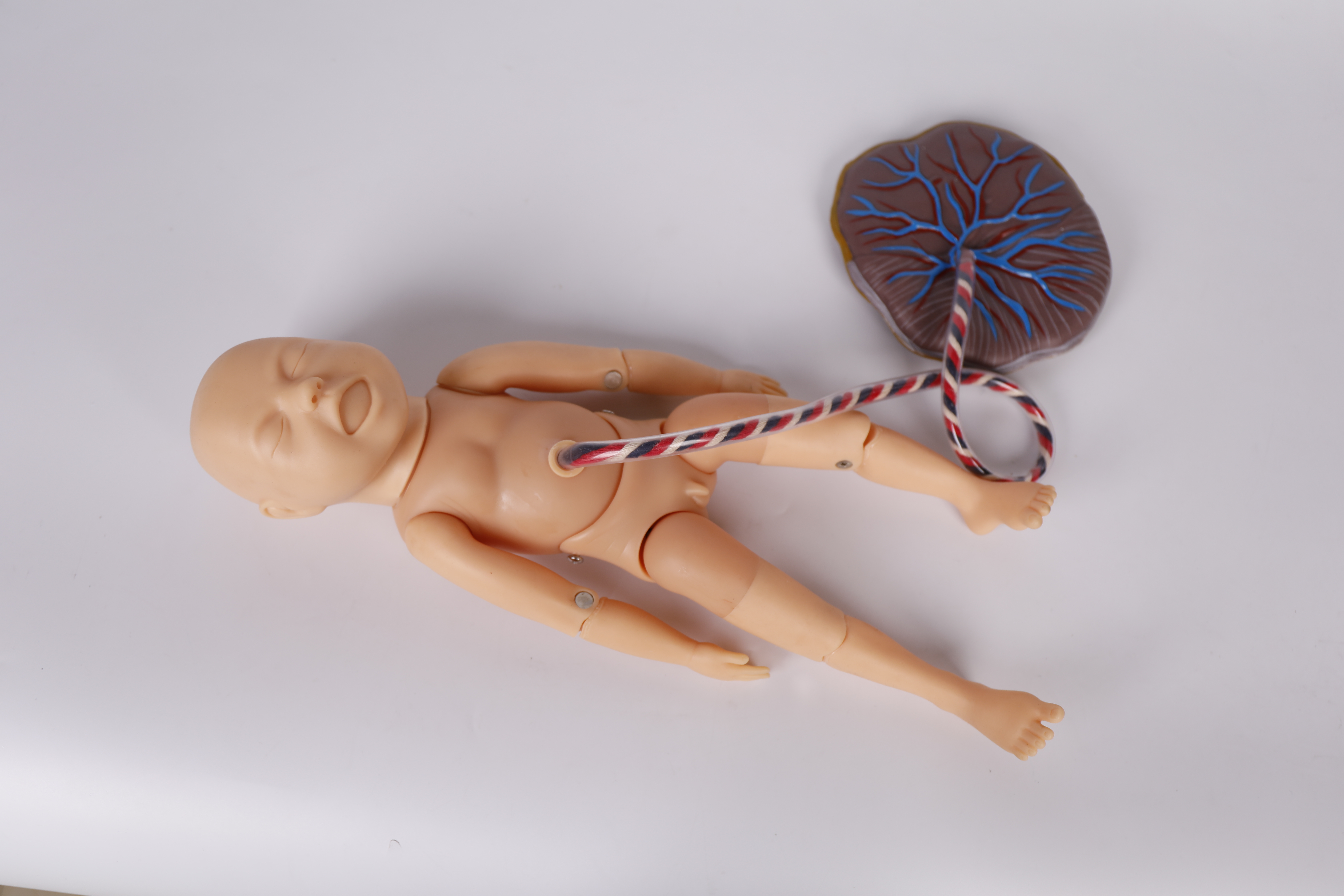 Advanced Comprehensive Childbirth Skill Training Model-3