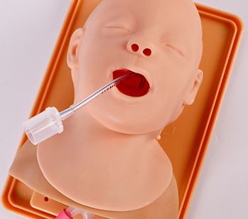 Infant Endotracheal Intubation Training Model-1