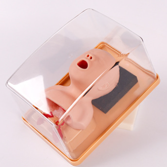 Newborn Tracheal Intubation Training Model-2
