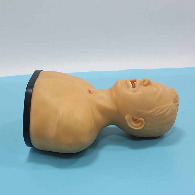Adult Tracheotomy Care Model-0