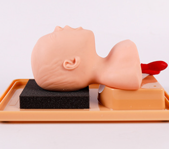 Newborn Tracheal Intubation Training Model-0