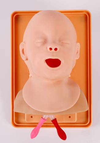 Infant Endotracheal Intubation Training Model-0