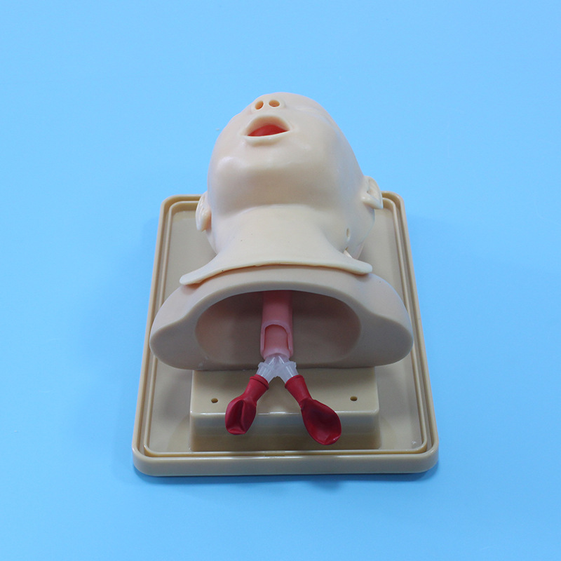 Infant Endotracheal Intubation Training Model-2