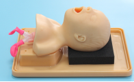 Newborn Tracheal Intubation Training Model