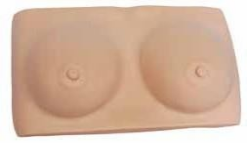 Breast Exam Model-0