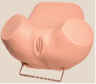 Modelo de punci&oacute;n del fornix vaginal posterior-0