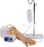 Modelo de brazo para venopunci&oacute;n e infusi&oacute;n de funciones completas (con sistema de circulaci&oacute;n)-0