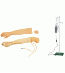 Modelo de entrenamiento avanzado para venopunci&oacute;n y inyecci&oacute;n intramuscular en el brazo (piel reemplazable)-0