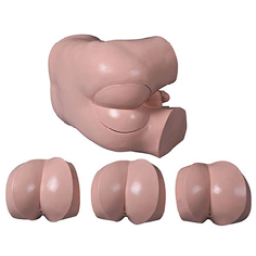 Modelo de Examen Digital Rectal-0