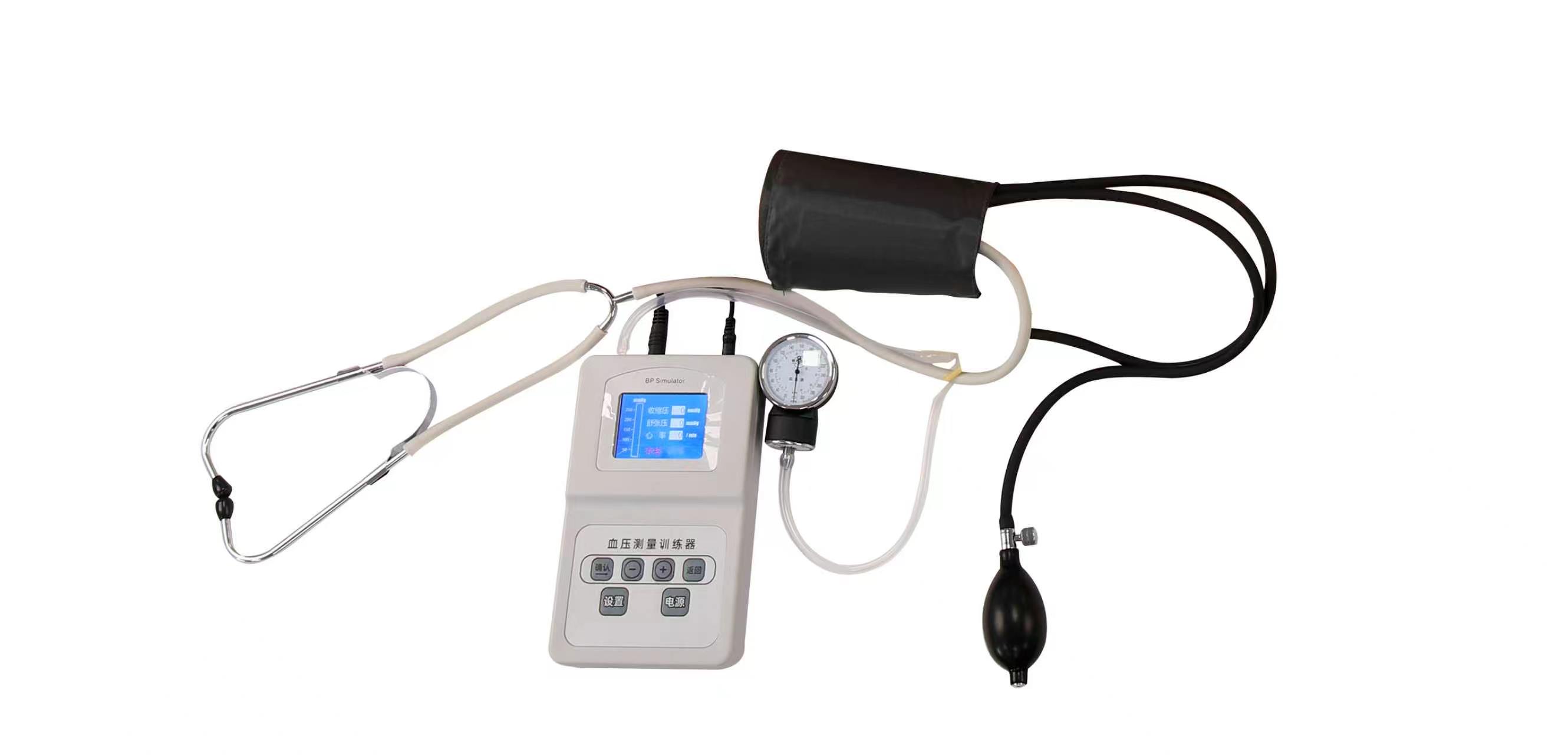 Advanced Nursing Training Manikin with Blood Pressure Training Arm (Female) &mdash; Product Description-0