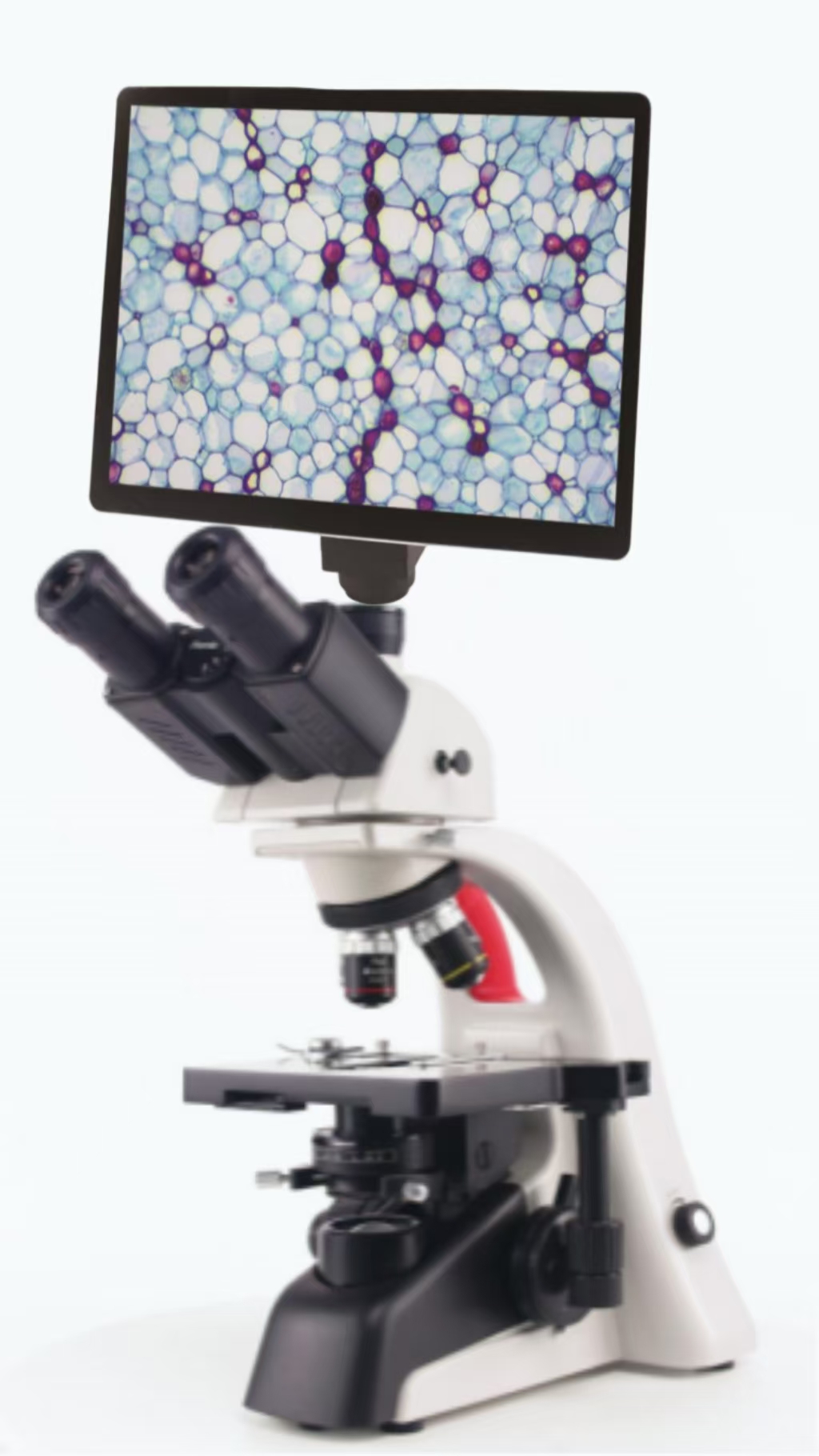 Microscopio trinocular + pantalla de 10,5 pulgadas-0