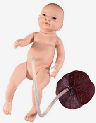 Modelo de cuidado del cord&oacute;n umbilical del reci&eacute;n nacido-0