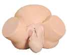 Modelo de entrenamiento en obstetricia-0