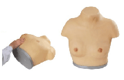 Advanced breast visual and palpation model-0
