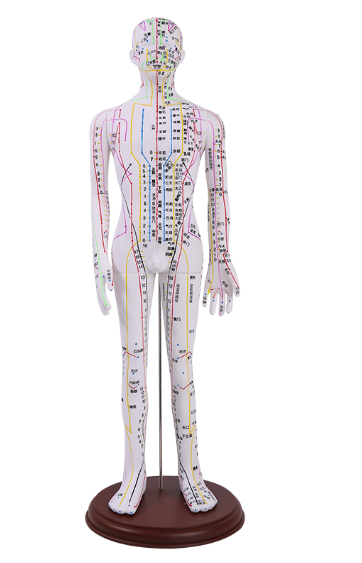 Male white 52cm acupuncture man - soft rubber-0