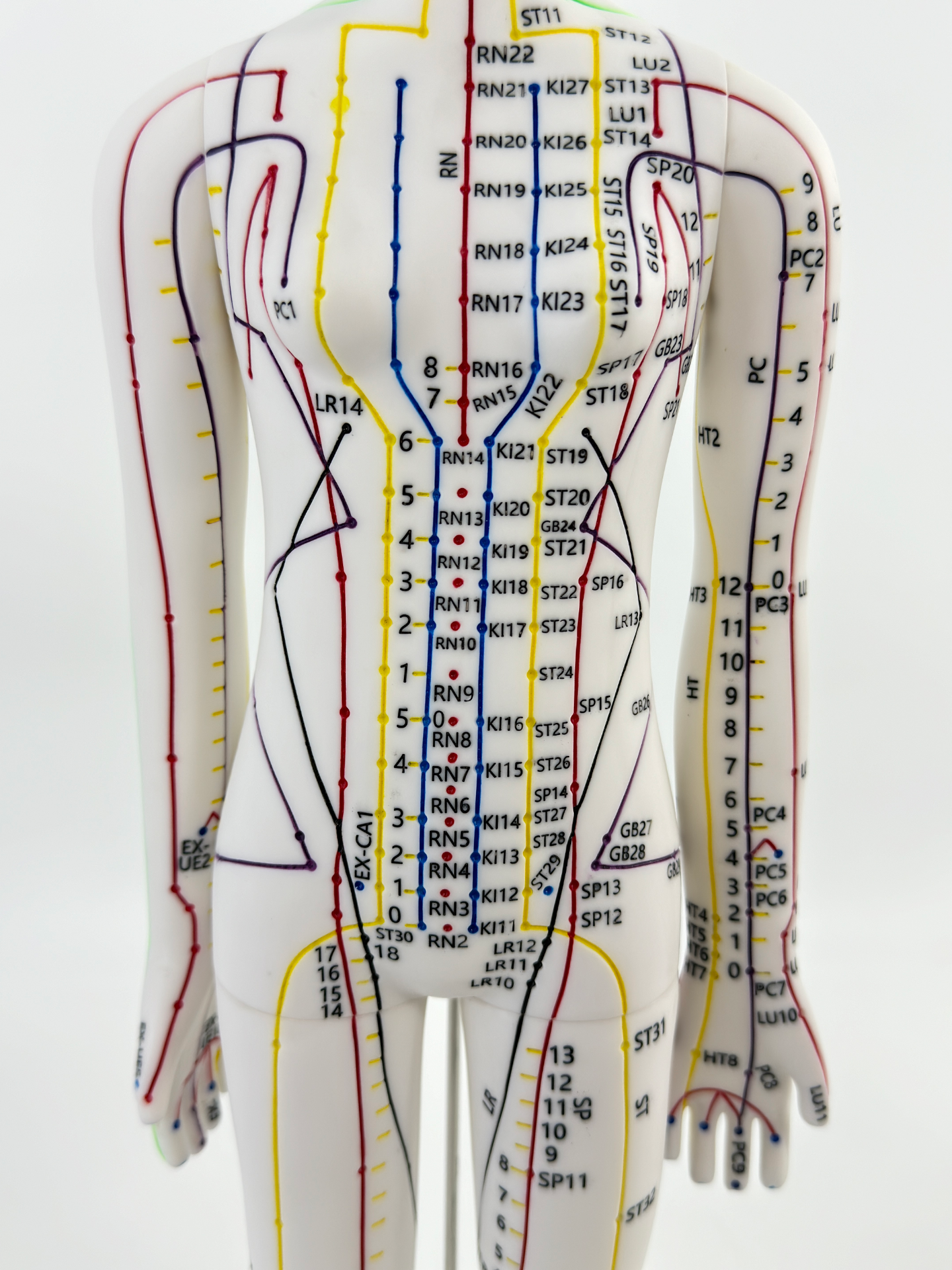 Male white 52cm acupuncture man - soft rubber (English version)-1