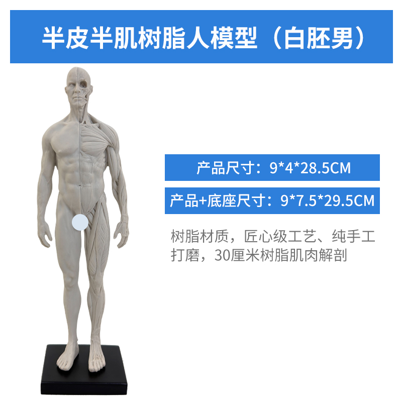 Resin figure (male), uncolored blank-1