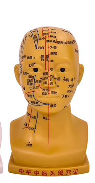 20CM Head Acupuncture Model (Bronze Color)-0