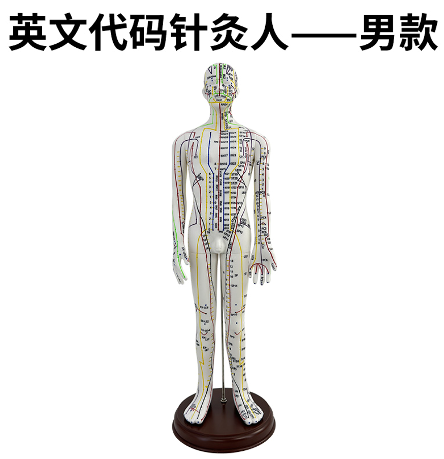 Male white 52cm acupuncture man - soft rubber (English version)-0