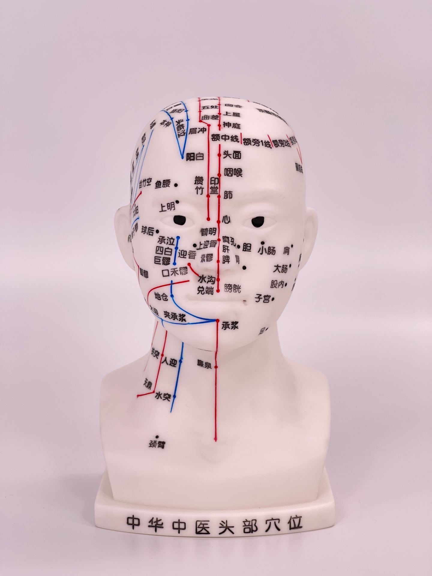 20CM Head Acupuncture Model (White)-0