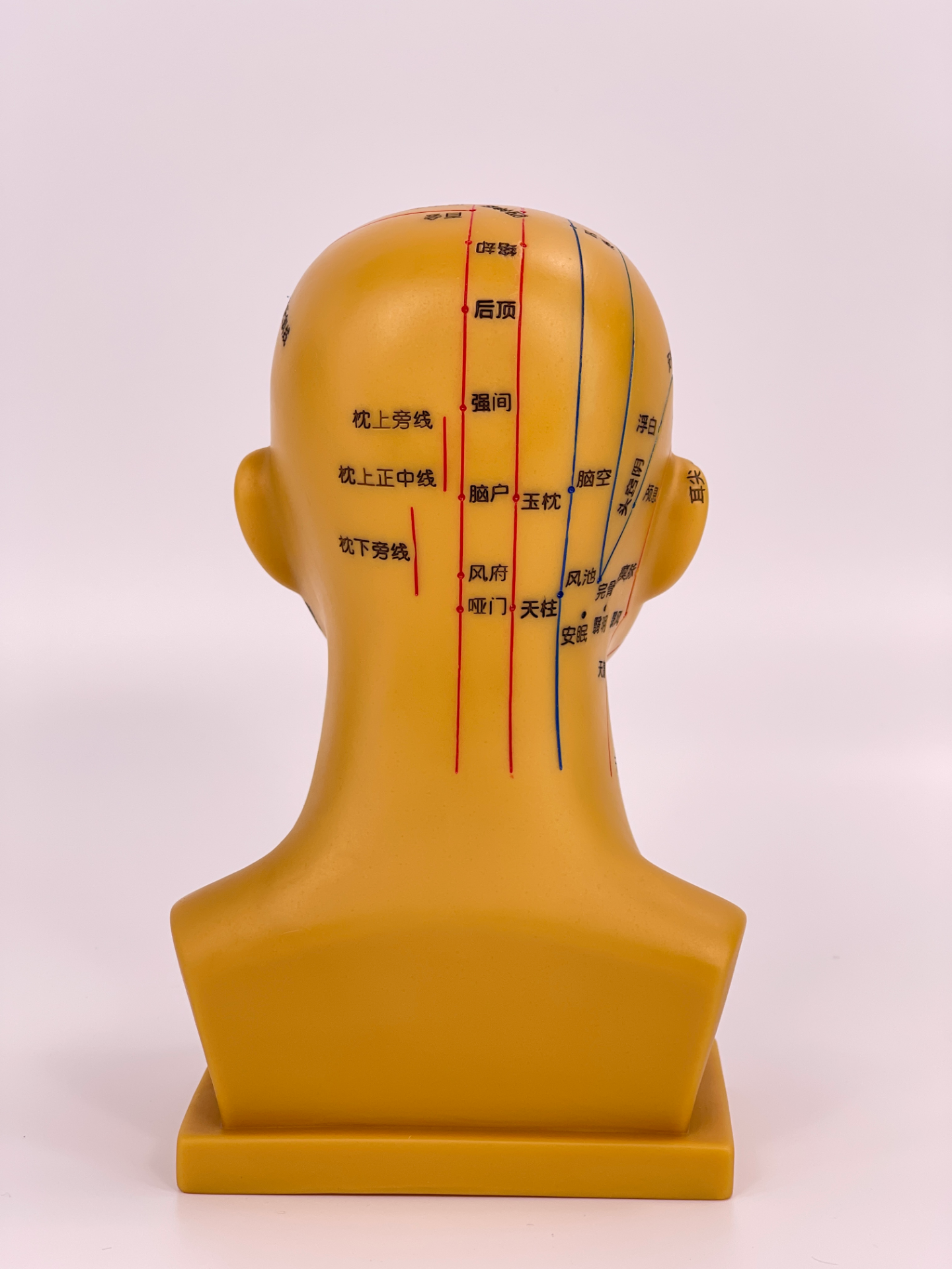 20CM Head Acupuncture Model (Bronze Color)-1