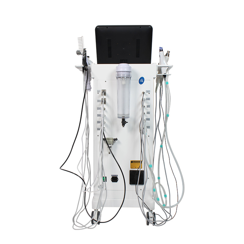 12-in-1 Luxury All-in-One SPA Skin Management Device-2